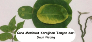 Cara Membuat Kerajinan Tangan dari Daun Pisang