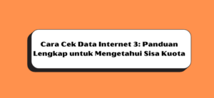 Cara Cek Data Internet 3: Panduan Lengkap untuk Mengetahui Sisa Kuota